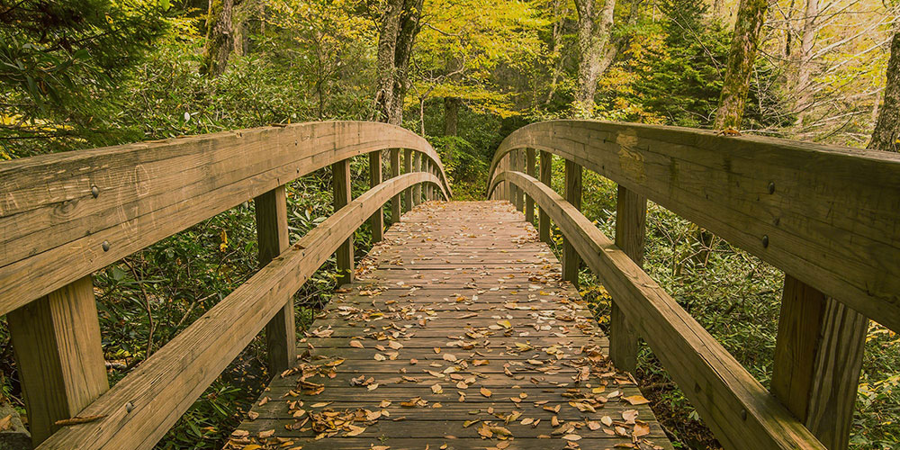 Bridgeway Recovery Services - Santiam House for Problem Gambling business image